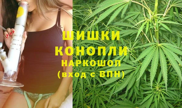 дмт Вяземский