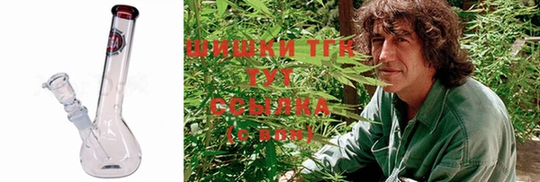 дмт Вяземский