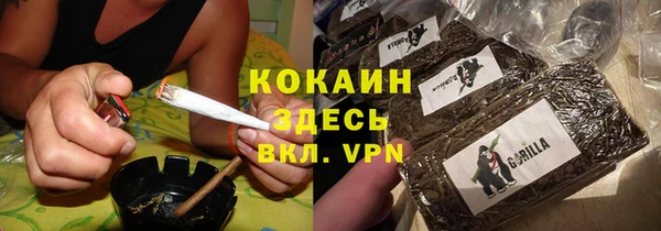 дмт Вяземский